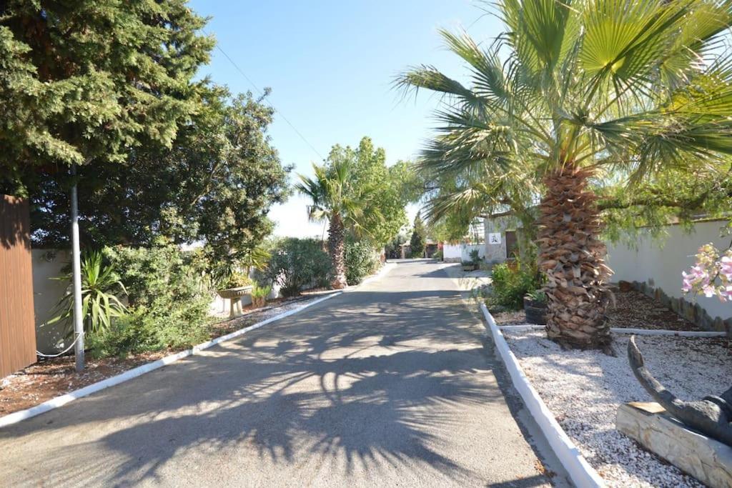 Casas Paqui Y Pablo Con Piscina Compartida En Conil Villa Conil De La Frontera Eksteriør bilde